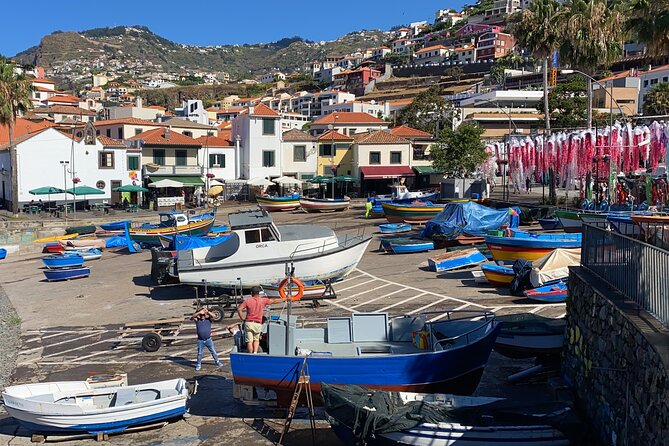 Private Half day tour around Madeira Island - Pico dos Barcelos viewpoint: free panorama time above Funchal
