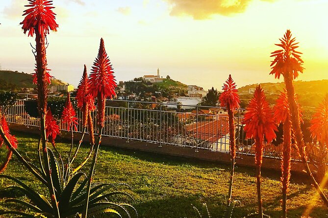 Private Half day tour around Madeira Island - What I would do differently to get the most out of it