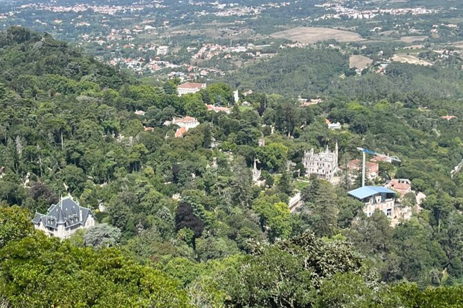 Private Half-Day Tour to Sintra - Should you book this Private Half-Day Tour to Sintra?
