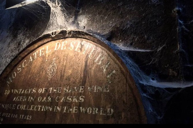 Private Lisbon Arrabida Wine Tour: Food & Wines, Mountain and Sea - Arrábida Natural Park viewpoints: where the day earns its photos