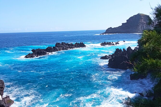 Private Madeira Island Tour: The Most Complete 8-Hour Experience - Vereda do Fanal: Laurel Trees and a Slightly Mysterious Forest Walk