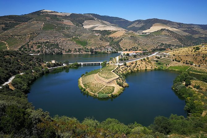 Private off the beaten Douro Valley Wine Tour - Key things that make this Douro tour tick