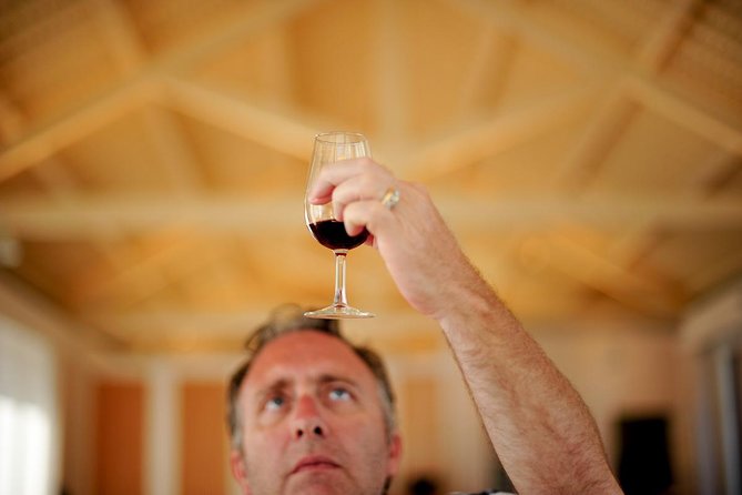 Private off the beaten Douro Valley Wine Tour - Valença do Douro and the iconic N222 photo time