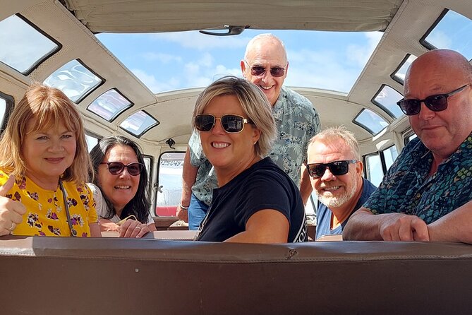 Private Porto Sightseeing by Vintage VW Kombi (up to 8 people) - Serra do Pilar, Santa Catarina, and Vitória: the miradouro sequence that makes Porto click