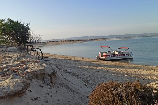 Private Ria Formosa Natural Park Boat Cruise from Faro - Meeting point, parking, and how you’ll actually start the day