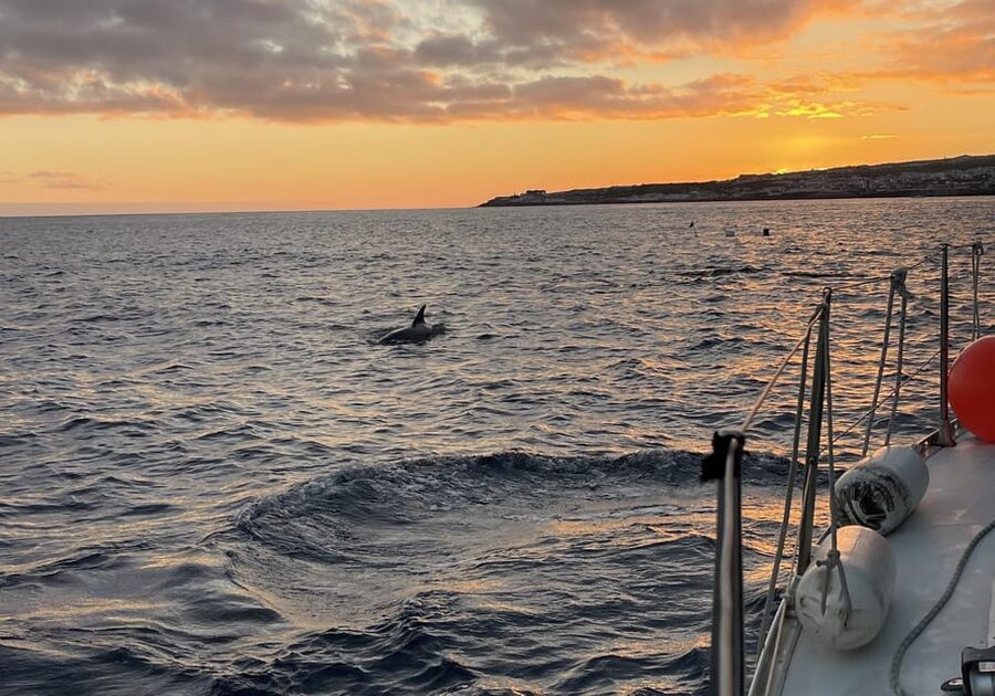 Private Sailing Sunset Tour PDL - Price and value: when $212 for a private group makes sense