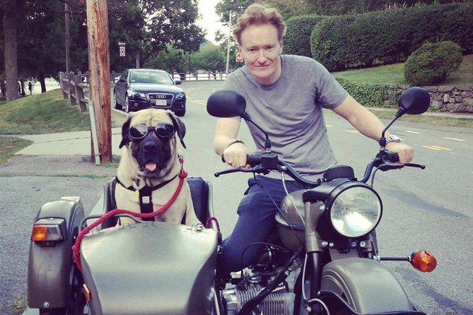 Private Tour: Best of Lisbon by Sidecar - Should you book Best of Lisbon by Sidecar?