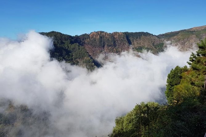 Private Tour Nun's Valley Halfday - Private Pickup and Drop-Off: Madeira Without the Bus Hassle