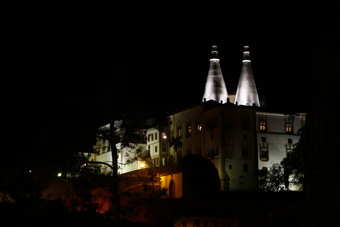 Private Tour Sintra from Lisbon Palaces of Pena and Regaleira - Quinta da Regaleira (or Monserrate Palace): choose your palace mood