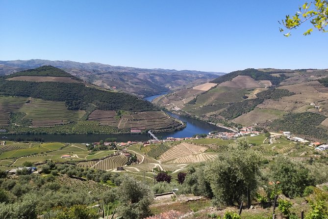 Private Tour to stunning Douro Valley and most renowned wineries - Key things I think you’ll care about