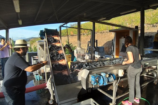 Private Tour to stunning Douro Valley and most renowned wineries - Pinhão and the azulejo railway station you’ll want to linger at