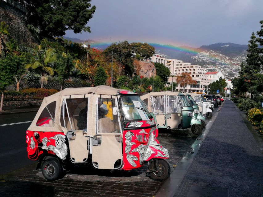 Private tour:Tuk Tuk Ride to Monte Funchal Toboggans - The Toboggan Ride: Your Famous Madeira Momentum