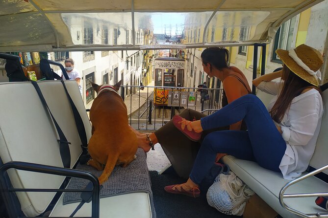 Private tuk tuk tour in old city Lisbon (Standard-1h30) - Miradouro das Portas do Sol Stop, Photos and Alfama Atmosphere