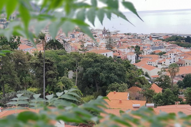 Private Tuk Tuk Tour to Old Town + Monte in Funchal - From Av. Sá Carneiro to Monte in a tuk tuk