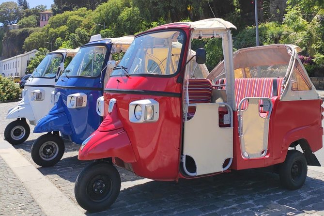Private Tuk Tuk Tour to Old Town + Monte in Funchal - Guides, humor, and how the tour stays smooth