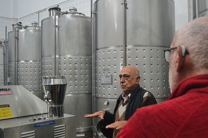 Private Vinho Verde Region Wine Tour from Porto Including Lunch - Lunch in Amarante: stew, cod, and a real break from tasting rooms