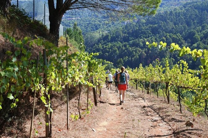 Private Vinho Verde Region Wine Tour from Porto Including Lunch - Amarante walking time, Church of S. Gonçalo, and an older Portugal feel