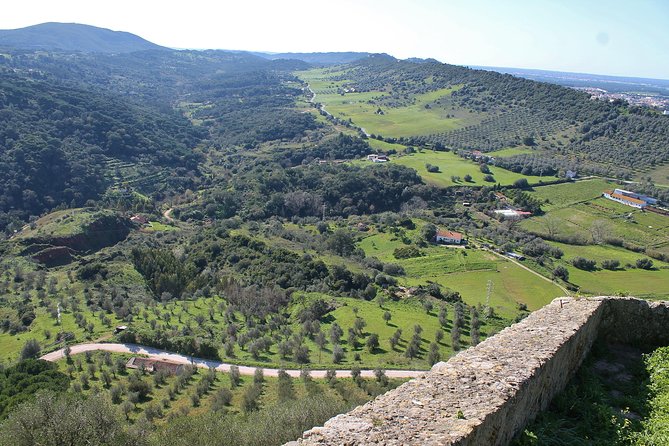 Private Wine Tasting in the Setúbal Wine Region, from Lisbon - Price and what $151.16 covers in real life