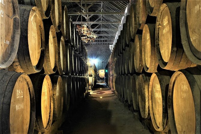 Private Wine Tasting in the Setúbal Wine Region, from Lisbon - Private guide mode: what makes the tastings feel personal