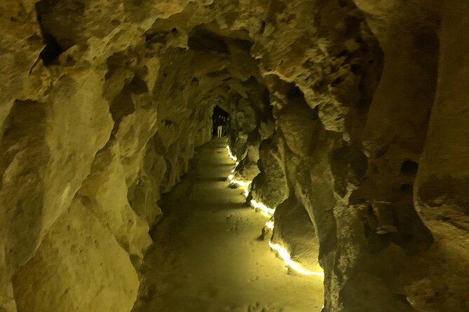 Quinta da Regaleira and Sintra visit half day private tour - Who this private tour suits best