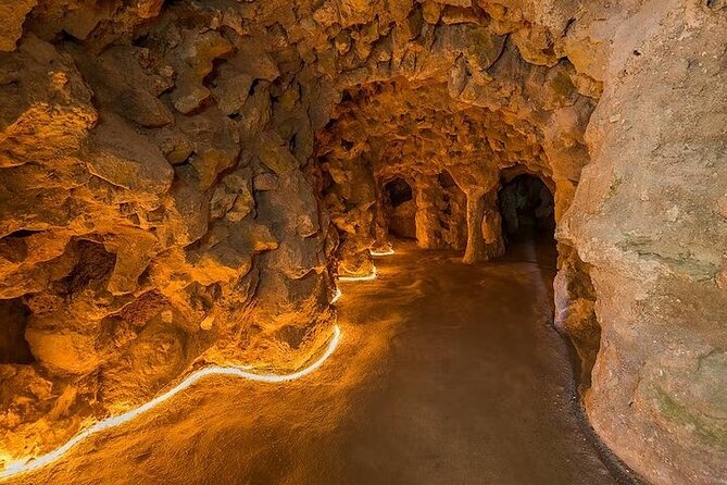 Quinta da Regaleira Skip the Line Tickets with Host - Fonte dos Pisoes and the Initiation Well: the spiral experience