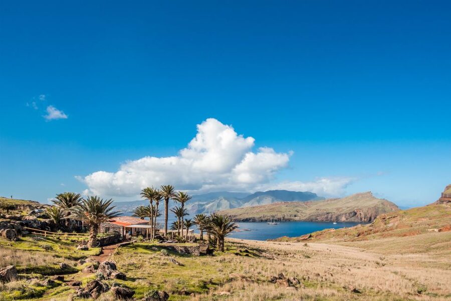 Quinta do Lorde: Kayak Experience in Ponta de São Lourenço - Wildlife and Close-Up Coast Views Near the Cliffs