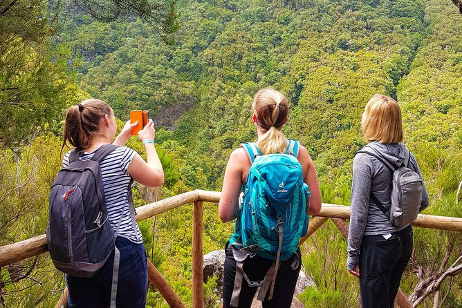 Rabaçal 25 Fontes Levada Walk in Small Groups - Key Points That Make This Walk Worth Your Time