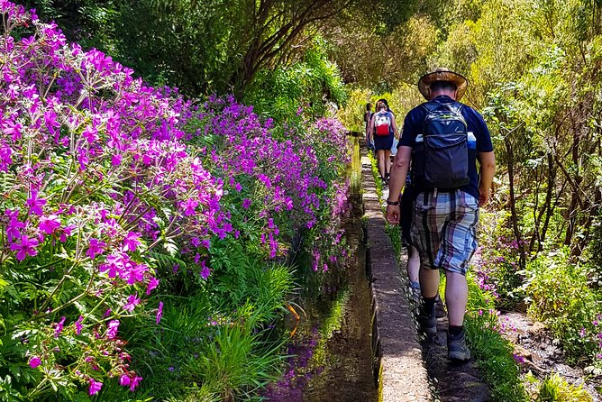 Rabaçal 25 Fontes Levada Walk in Small Groups - Weather Reality: When Good Conditions Matter Most