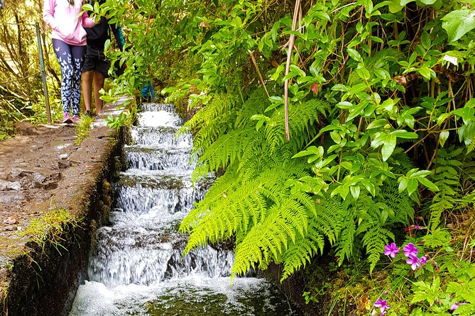 Rabaçal 25 Fontes Levada Walk in Small Groups - Levadas Are the Real Character of the Walk