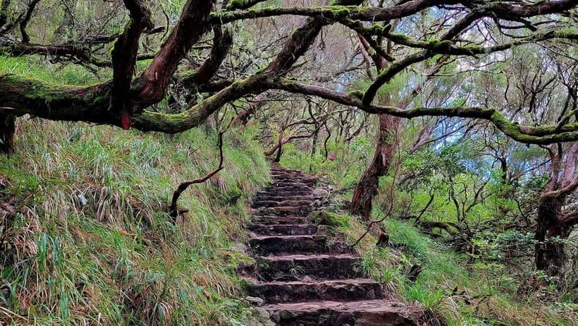 Rabaçal: 25 Fontes & Risco Levada Transfer Self-guided Hike - Price and value: where the $38 goes, and what you pay extra