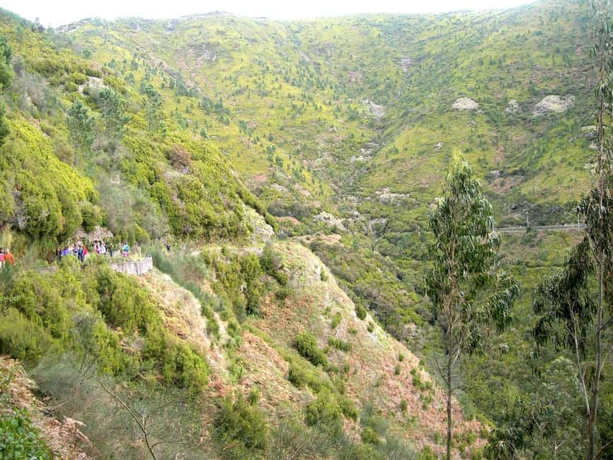 Rabaçal: 25 Fontes & Risco Levada Transfer Self-guided Hike - Rabacal and the levadas, why this hike hits different