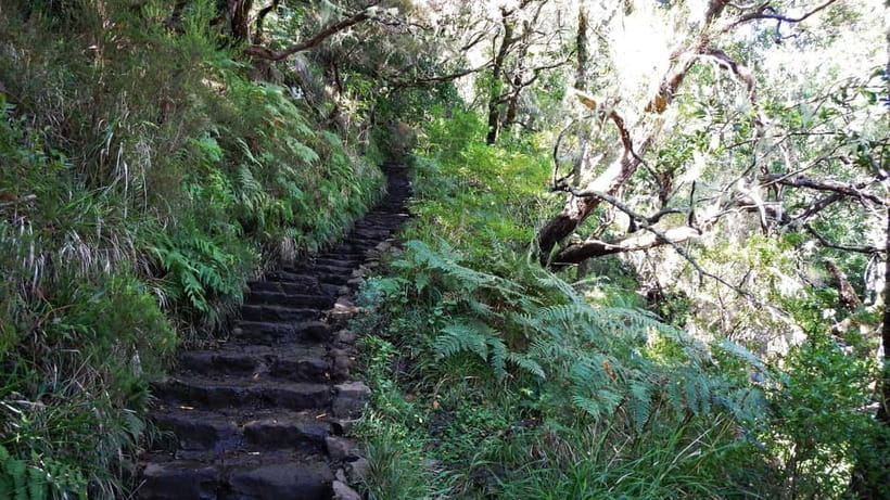 Rabaçal: 25 Fontes & Risco Levada Transfer Self-guided Hike - The self-guided format that actually works (and what that means)
