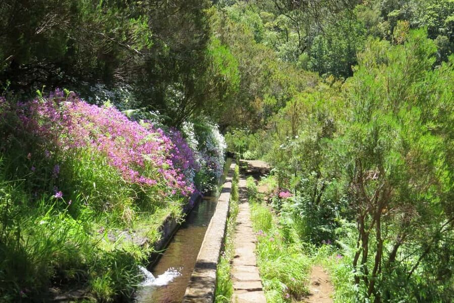 Rabaçal: 25 Fontes & Risco Levada Transfer Self-guided Hike - Risco Levada: the second waterfall payoff with a different vibe