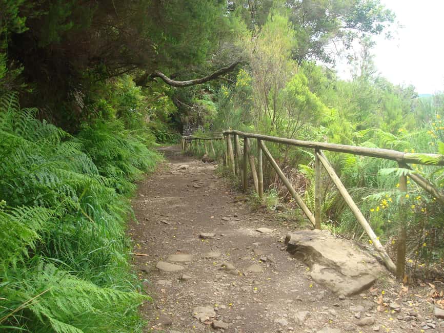 Rabaçal: 25 Fontes & Risco Levada Transfer Self-guided Hike - Timing, crowds, and why 5 hours is the right kind of pressure