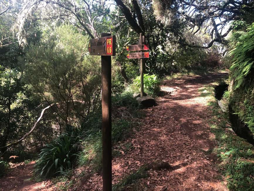 Rabaçal: 25 Fontes & Risco Levada Transfer Self-guided Hike - Weather on Madeira: how to plan for fog, rain, and surprises