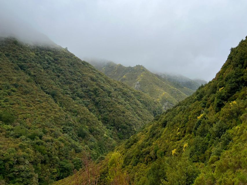 Rabaçal: 25 Fontes & Risco Levada Transfer Self-guided Hike - The transfer game from Funchal: long day, smooth logistics