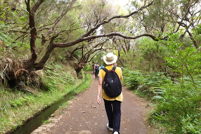 Rabaçal - 25 Fonts - Rabaçal and 25 Fontes: why this levada hike feels different