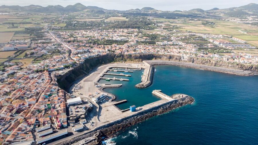 Rabo de Peixe: Sperm Whale Sanctuary Expedition - Key highlights worth your attention
