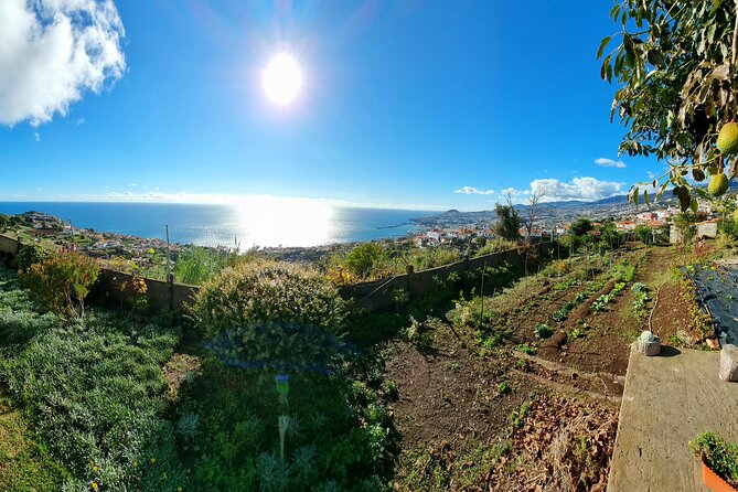 "Re-Canto" Farm-to-Table with Stunning Views at Madeira - The views over Funchal, and why sunset timing changes everything