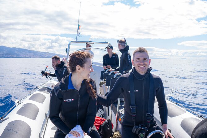 Responsible Whales and/or Dolphins Watching Tour - The Itinerary Rhythm: How Two Hours Gets You Real Time