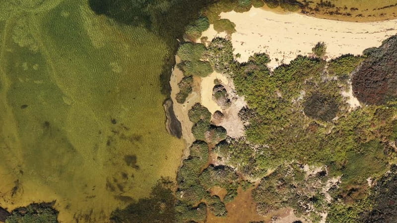 Ria Formosa: Armona and Culatra Islands 3-Hour Boat Tour - Key points before you go