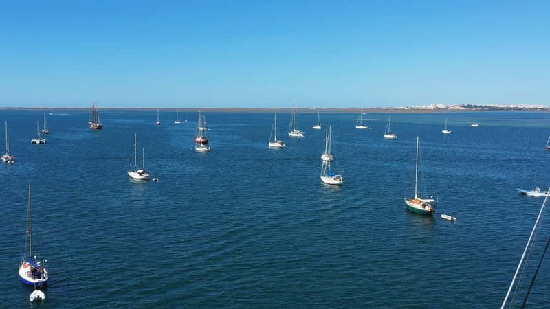 Ria Formosa: Armona and Culatra Islands 3-Hour Boat Tour - Spotting birds, clams, and low-tide life with the captain