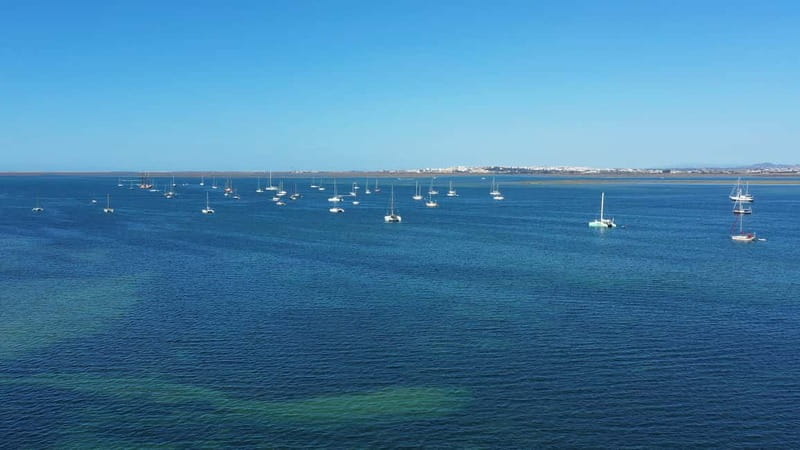 Ria Formosa: Armona and Culatra Islands 3-Hour Boat Tour - Culatra Island: car-free village life and easy walking