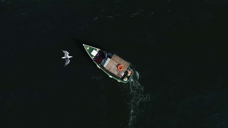 Ria Formosa: Armona and Culatra Islands 3-Hour Boat Tour - Praia Deserta swimming break on the way