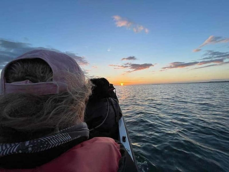 Ria Formosa: Armona and Culatra Islands 3-Hour Boat Tour - What you get on board: small comforts that add up