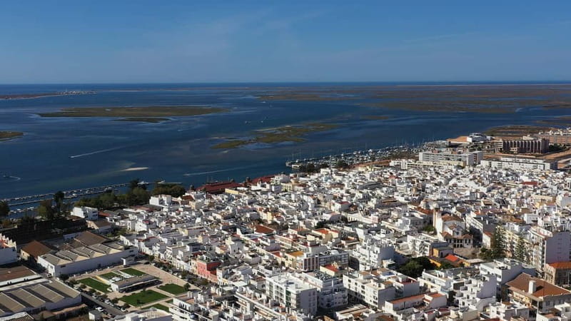 Ria Formosa: Armona and Culatra Islands 3-Hour Boat Tour - The 3-hour rhythm: cruising, then island time