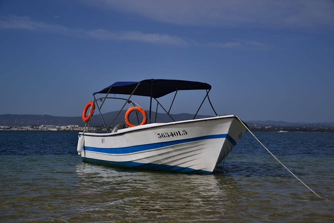 Ria Formosa - Boat trip to the 3 Islands: Armona | Culatra Island | Lighthouse - Olhão departure, shaded comfort, and the captain you’ll remember