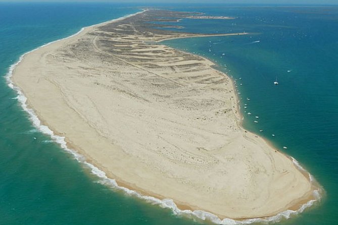 Ria Formosa - Boat trip to the 3 Islands: Armona | Culatra Island | Lighthouse - Birds, fish, molluscs, seafood, and what you should ask for
