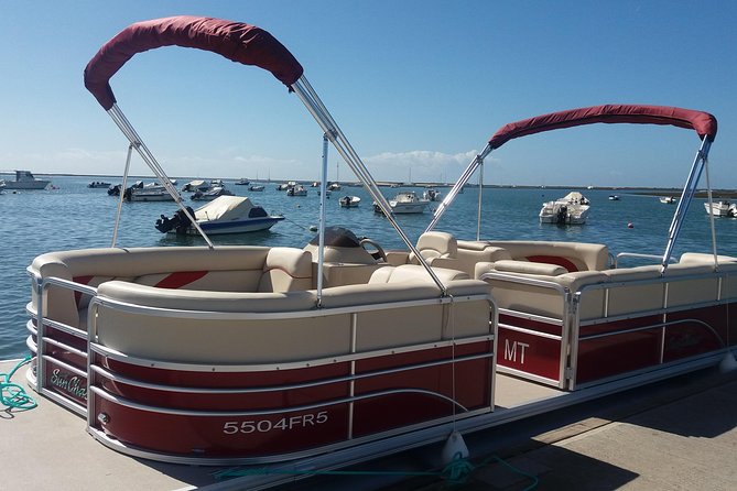 Ria Formosa Natural Park and Islands Boat Cruise from Faro - Ria Formosa Natural Park stop: tides, channels, and bird names