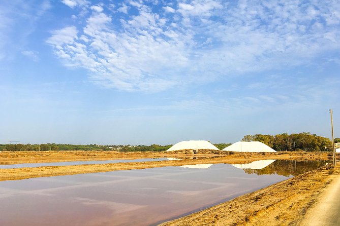 Ria Formosa Natural Park Birdwatching Segway Tour from Faro - The best birdwatching stop: Ludo and real scanning time